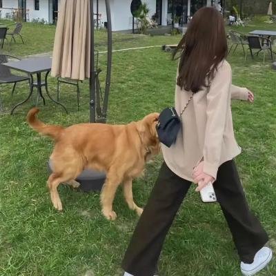 悬念世界